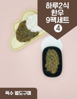 덮밥소스 하루2식한우식단9팩세트4 27회분